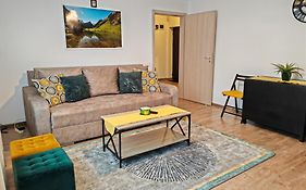 Cozy Apartment In Rasnov